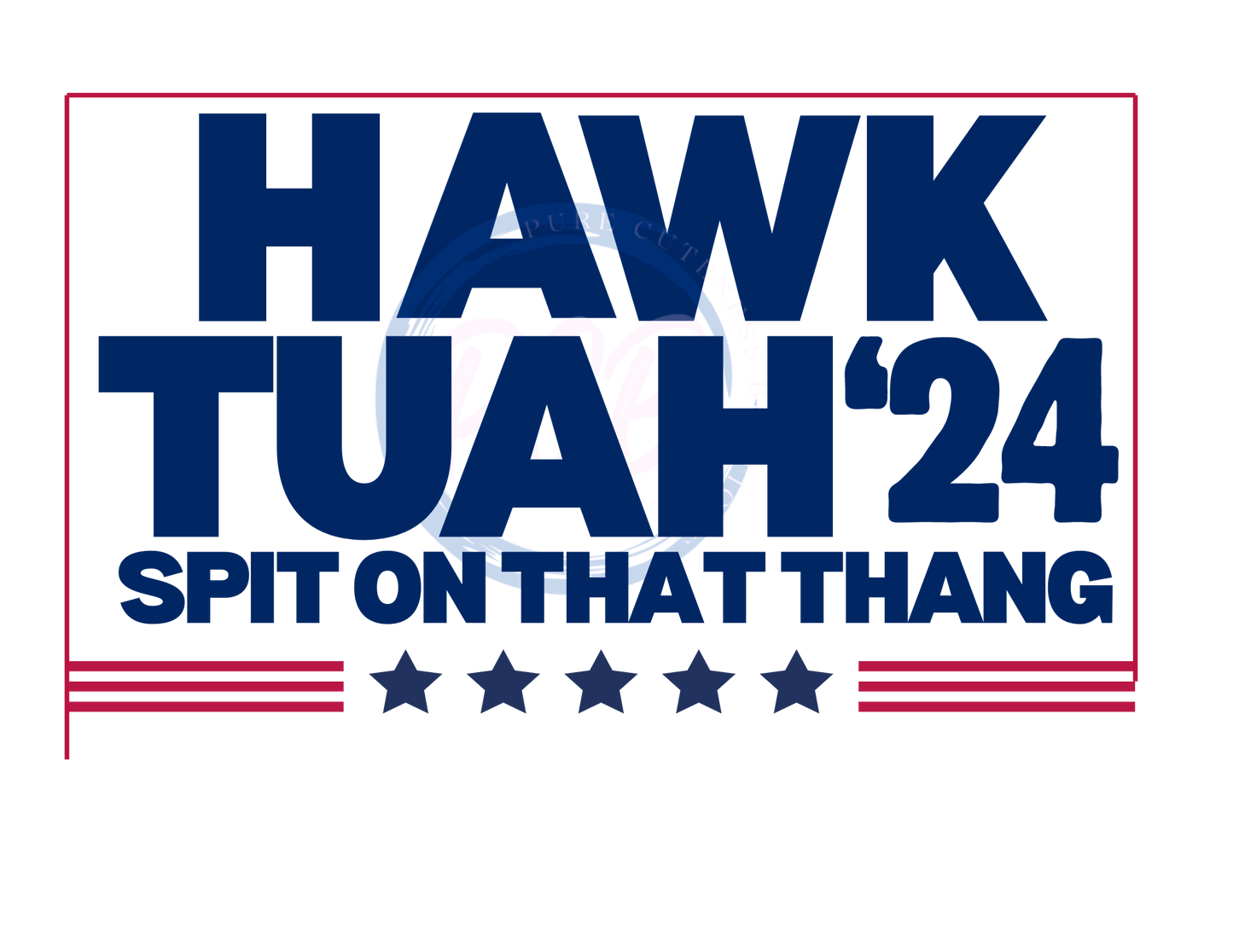 Hawk Tuah 2024